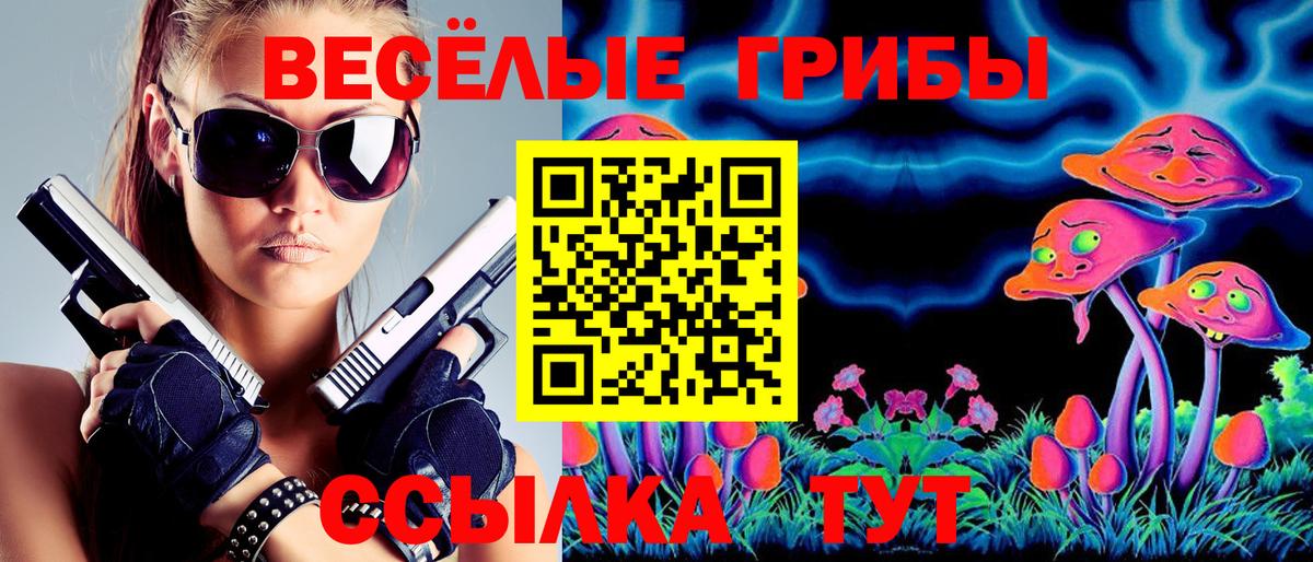 Серов  Псилоцибиновые грибы мицелий  Вход с VPN  Псилоцибиновые грибы GOLDEN TEACHER 
